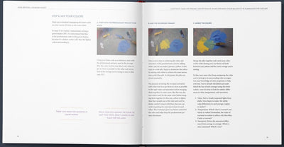 Kami Mendlik: COLOR RELATIVITY - Creating the Illusion of Light with Paint Softcover Book