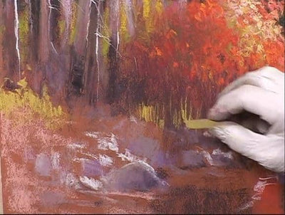 Susan Woolgar: Pastel Workshop