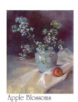 Johnnie Liliedahl: Still-Life Vol. 1