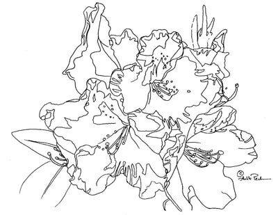 Arleta Pech: Pure Color Glazing in Watercolor