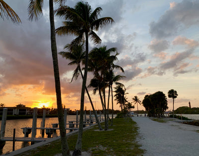 Carl Bretzke: Sunset Secrets