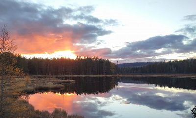 Nicholas Coleman: Storypainting: Creating Emotion with Your Brush