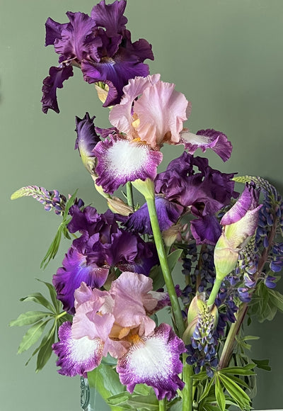 Vera Kavura: Painting the Flowers of Ukraine