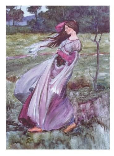 Johnnie Liliedahl: Windflowers