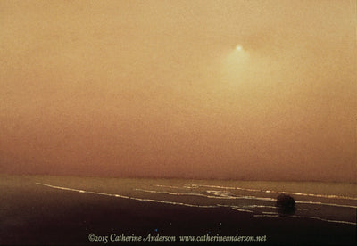 Catherine Anderson: Creating Multiple Glazes in Your Watercolors