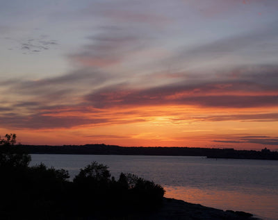 Cindy Baron/Michael Coleman Bundle