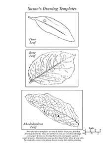 Susan Harrison-Tustain: Lifelike Leaves and Vibrant Greens
