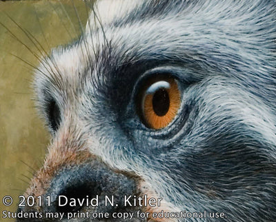 David N. Kitler: Painting Nature's Textures in Acrylics