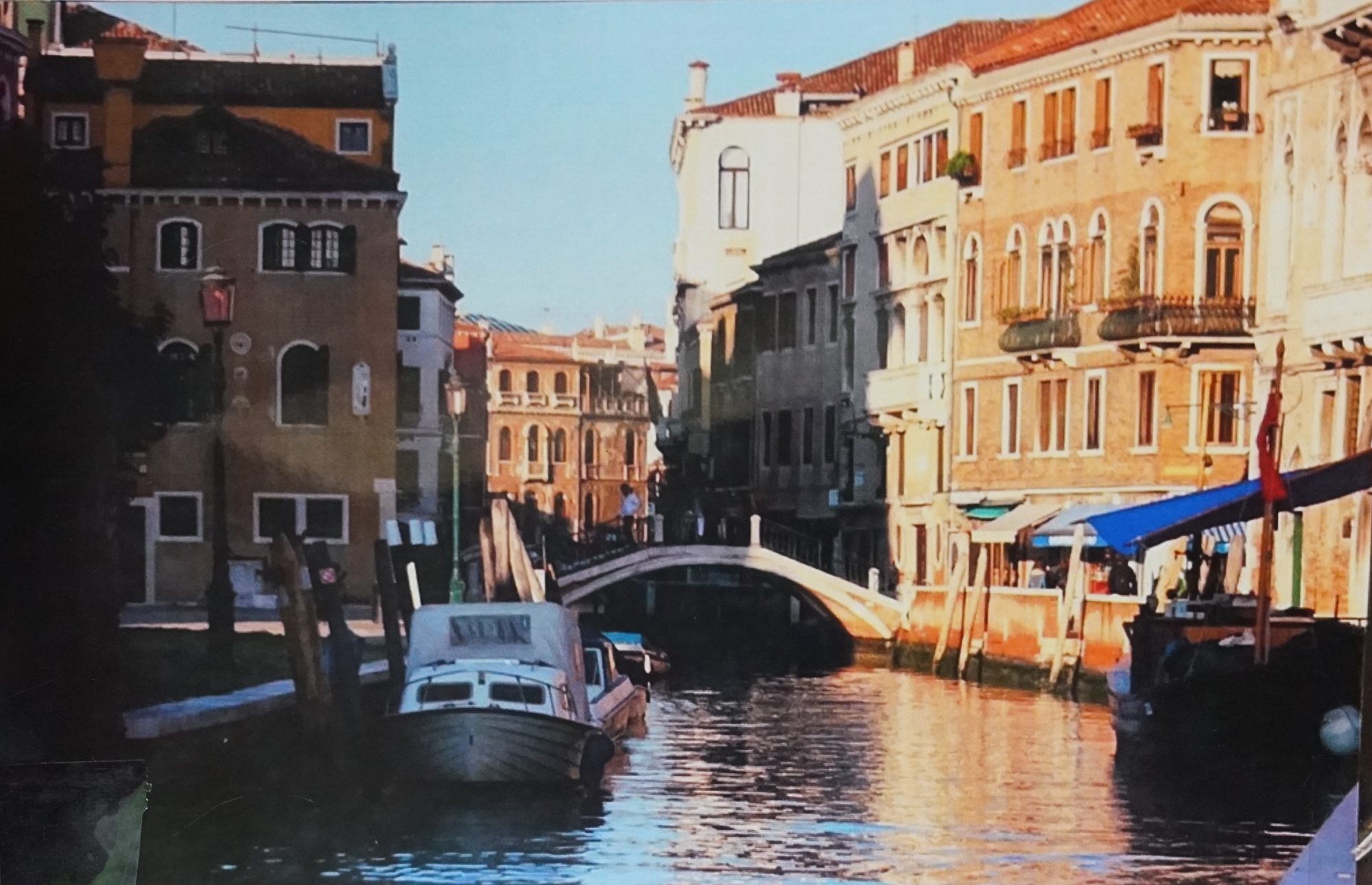 Jove Wang: Expressive Cityscapes