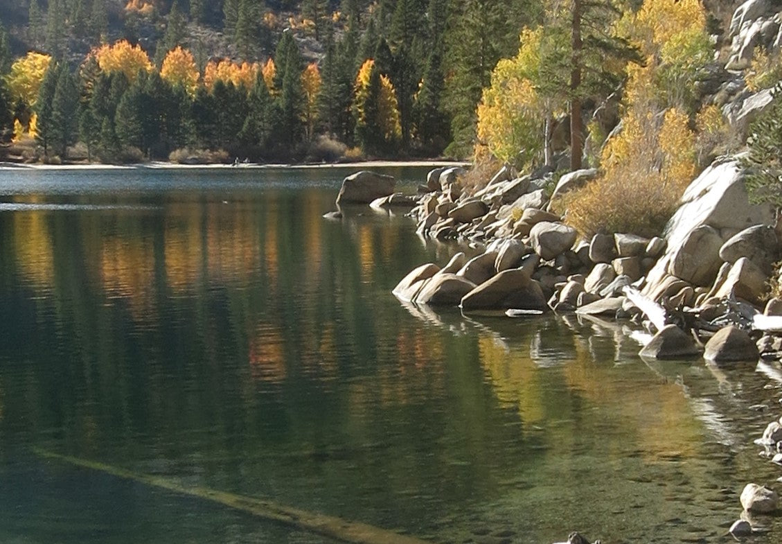 Kathleen Dunphy: Ultimate Collection - Plein Air to Studio