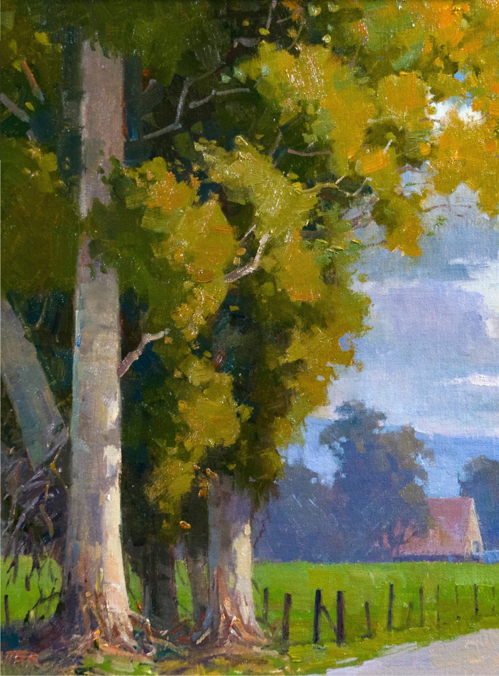 Paul Kratter 3 Video Bundle