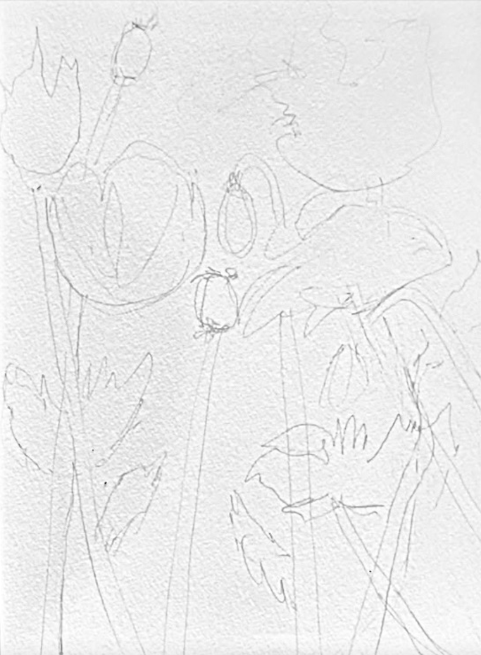 Georgia Mansur: Vibrant Watercolors