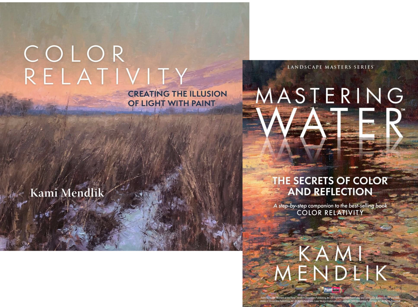 Kami Mendlik: Mastering Water DVD/Color Relativity Book Combo