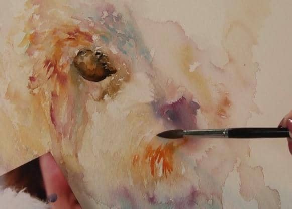 Jean Haines: Watercolour Passion