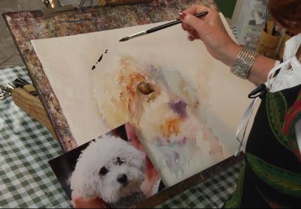 Jean Haines: Watercolour Passion