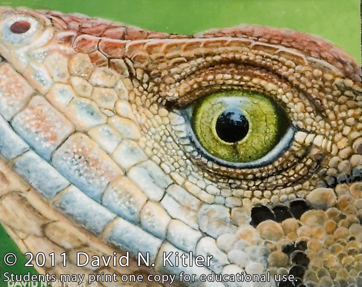 David N. Kitler: Painting Nature's Textures in Acrylics