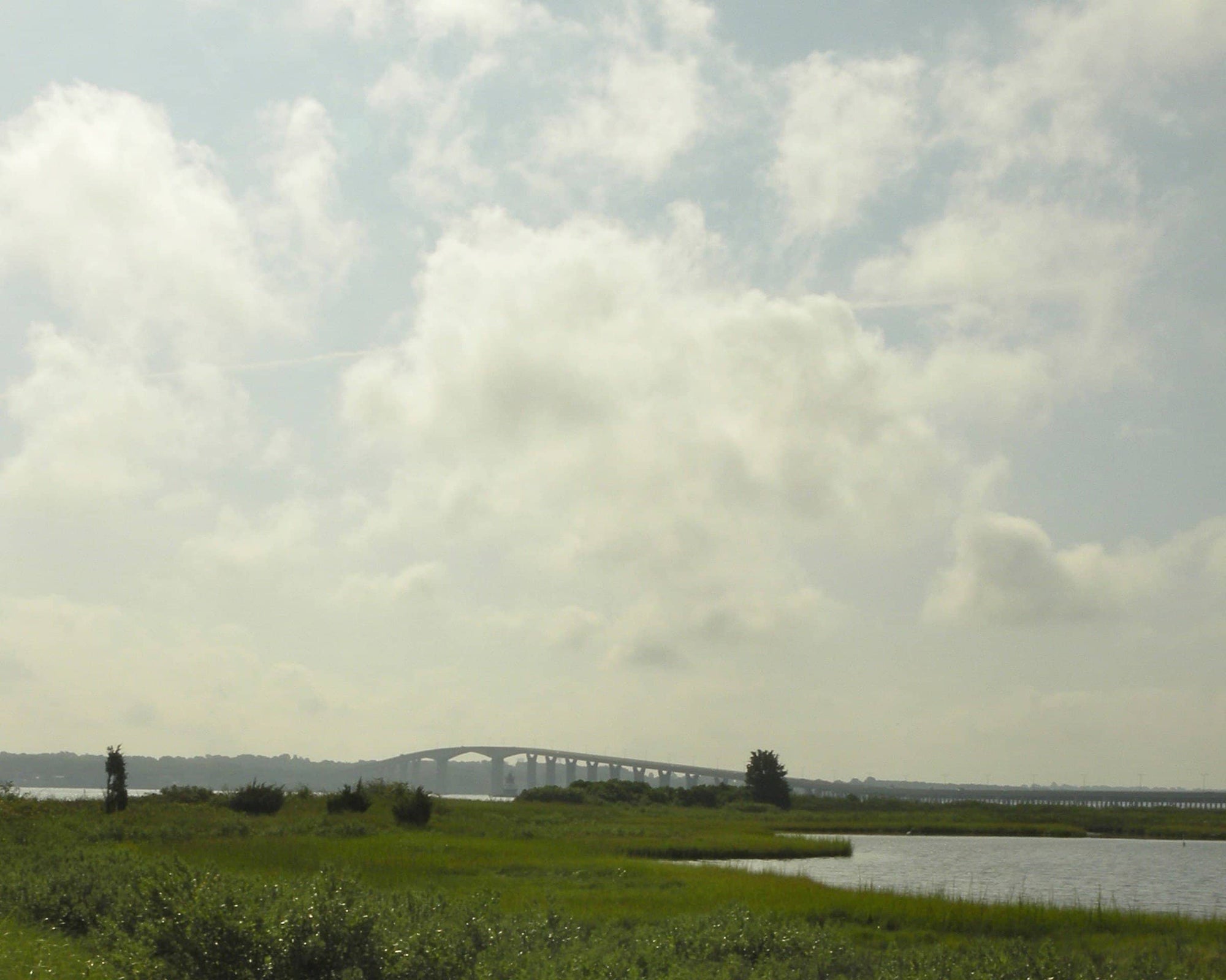 Cindy Baron: Elegant Landscapes