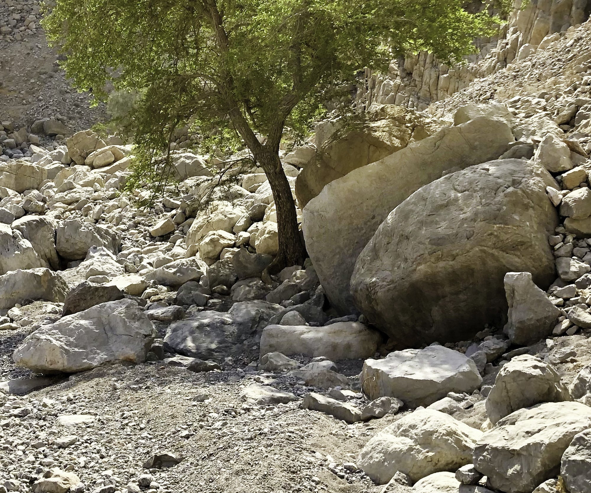 Matt Ryder: Painting Rocks & Sunlight