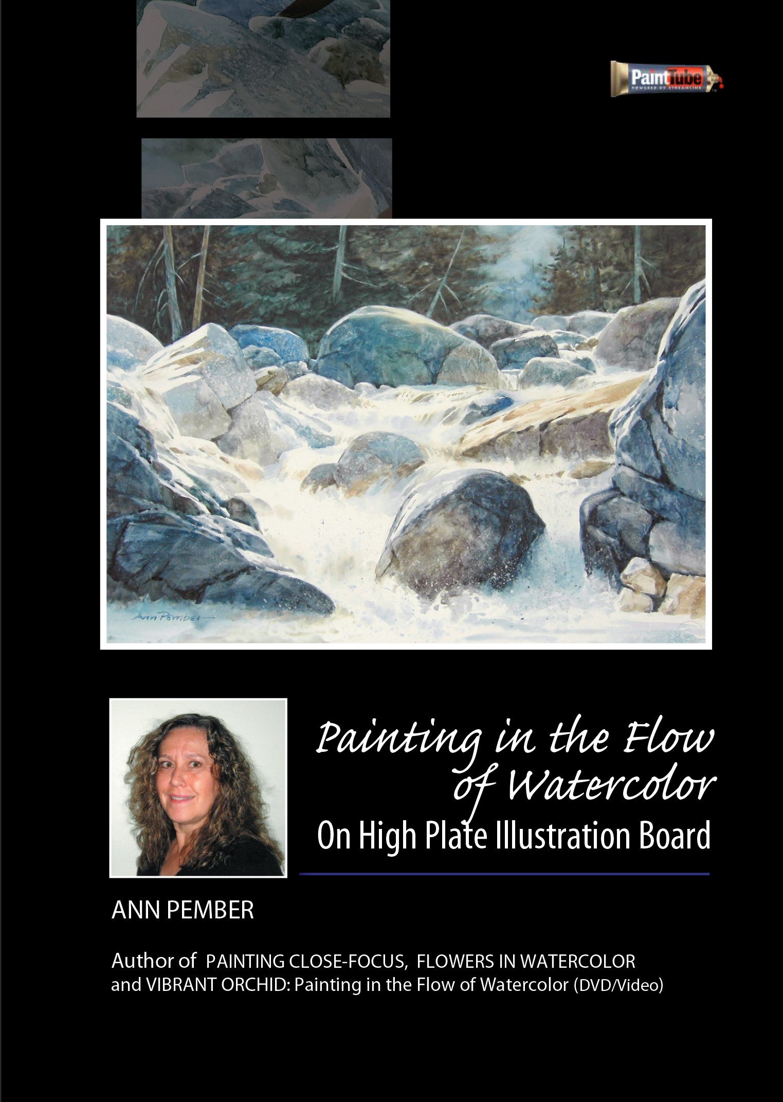Ann Pember: Painting in the Flow of Watercolor On High Plate Illustration Board
