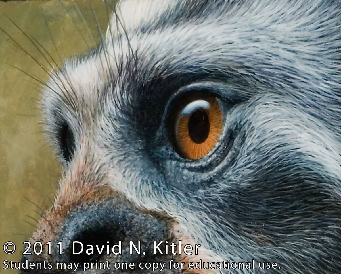 David N. Kitler: Painting Nature's Textures in Acrylics