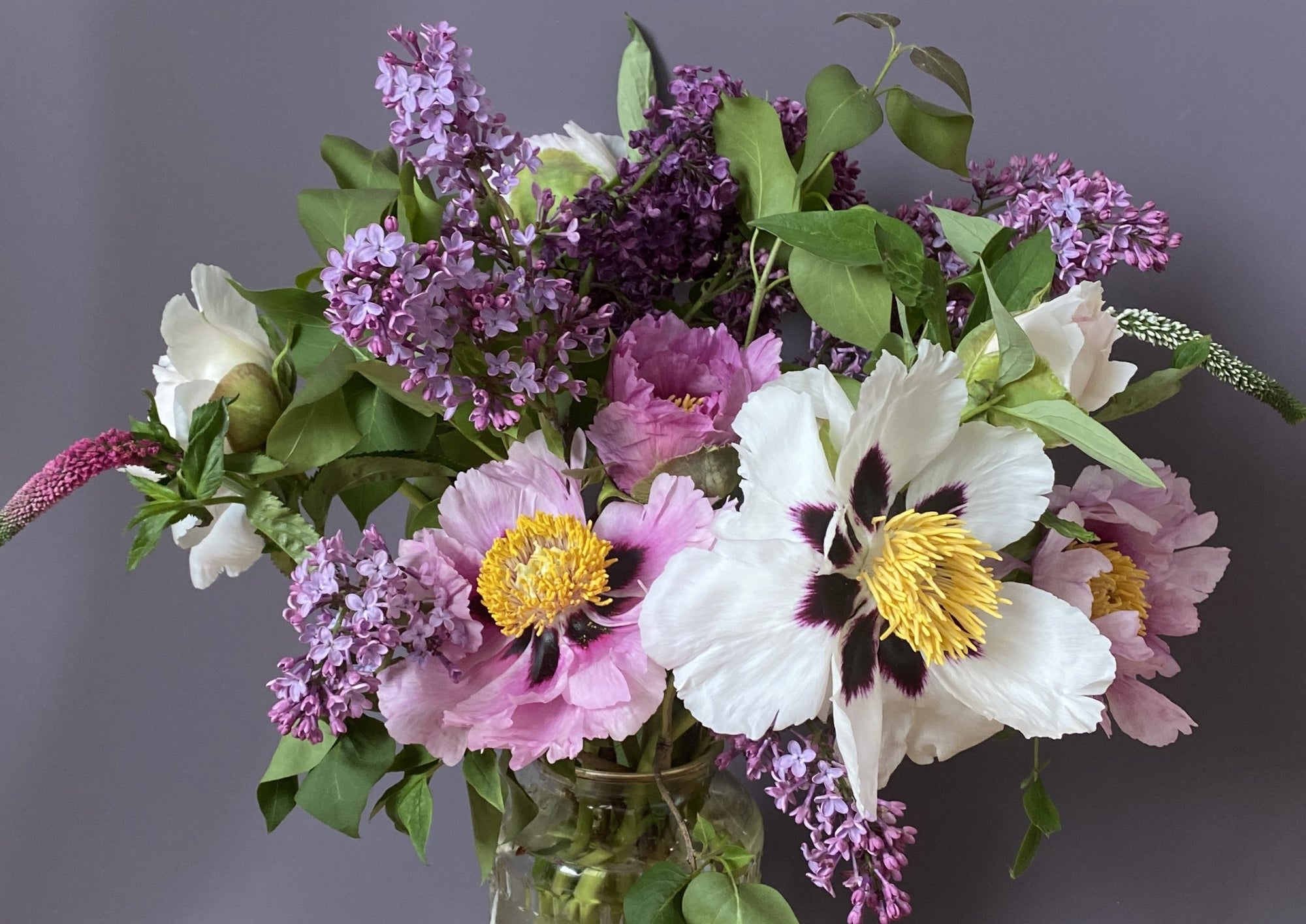 Vera Kavura: Painting the Flowers of Ukraine