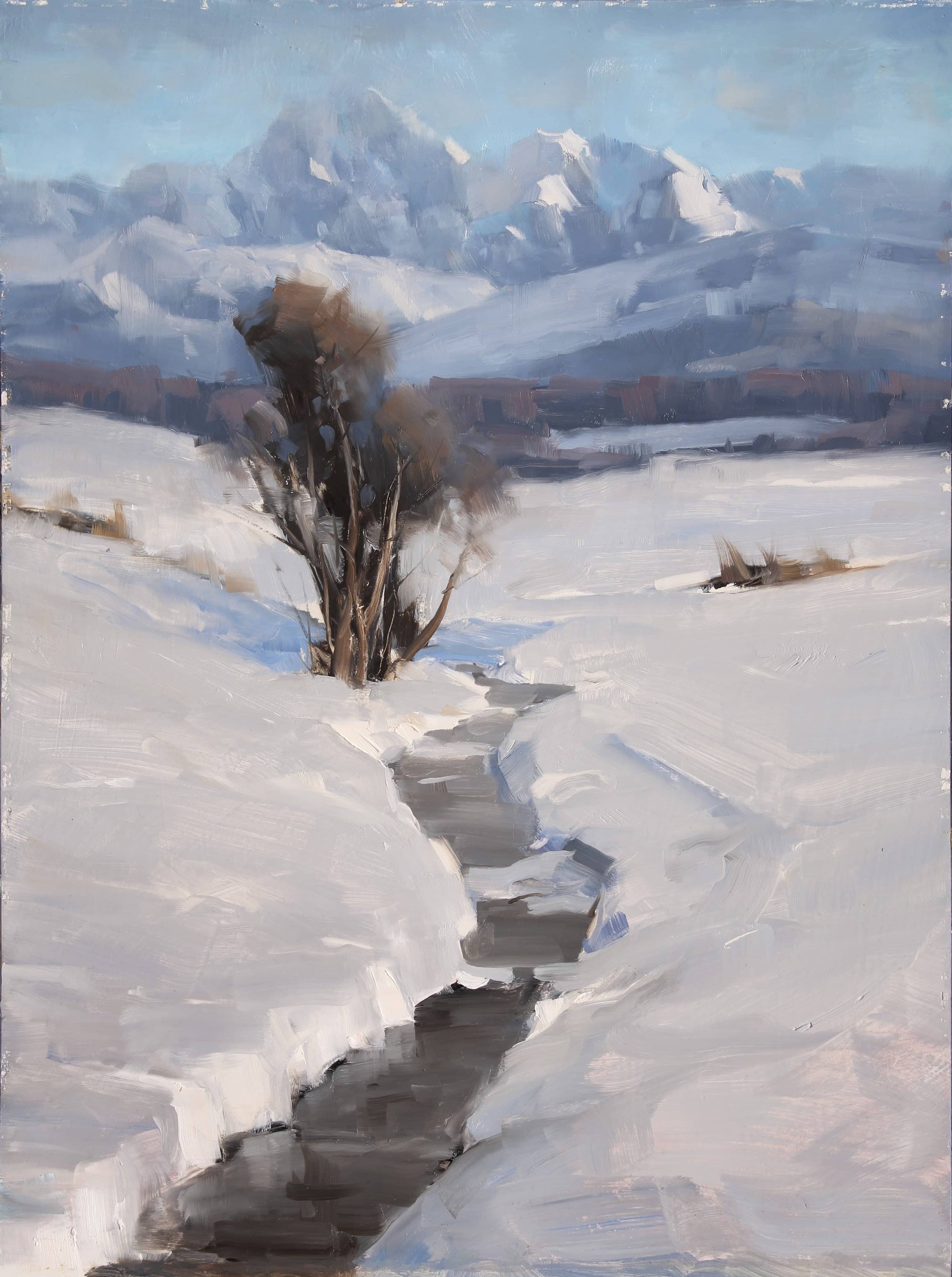 Dave Santillanes: Winter Landscapes